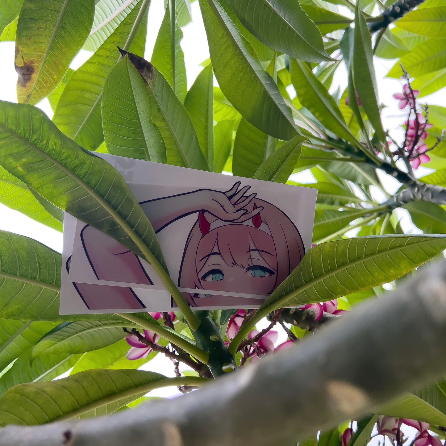 Summer 002 Peeker | Sticker