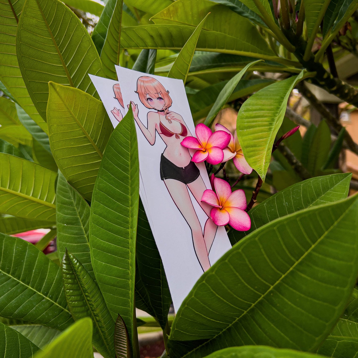 Koemi Summer | Sticker